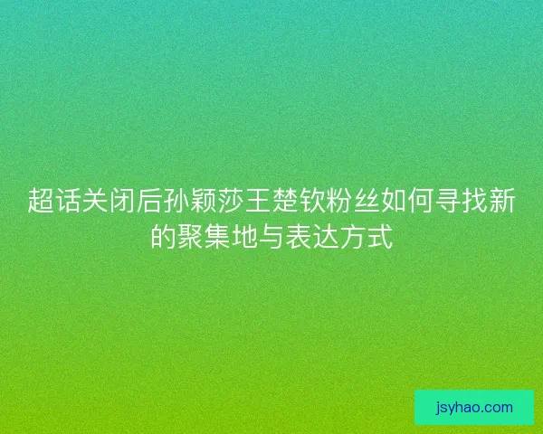 超话关闭后孙颖莎王楚钦粉丝如何寻找新的聚集地与表达方式