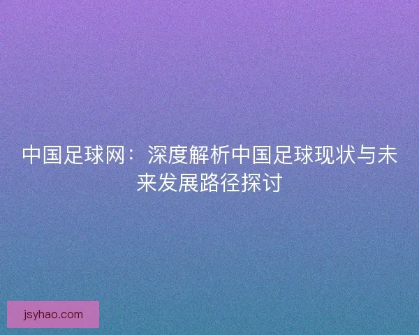 中国足球网：深度解析中国足球现状与未来发展路径探讨